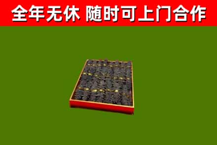 莆田市回收海参